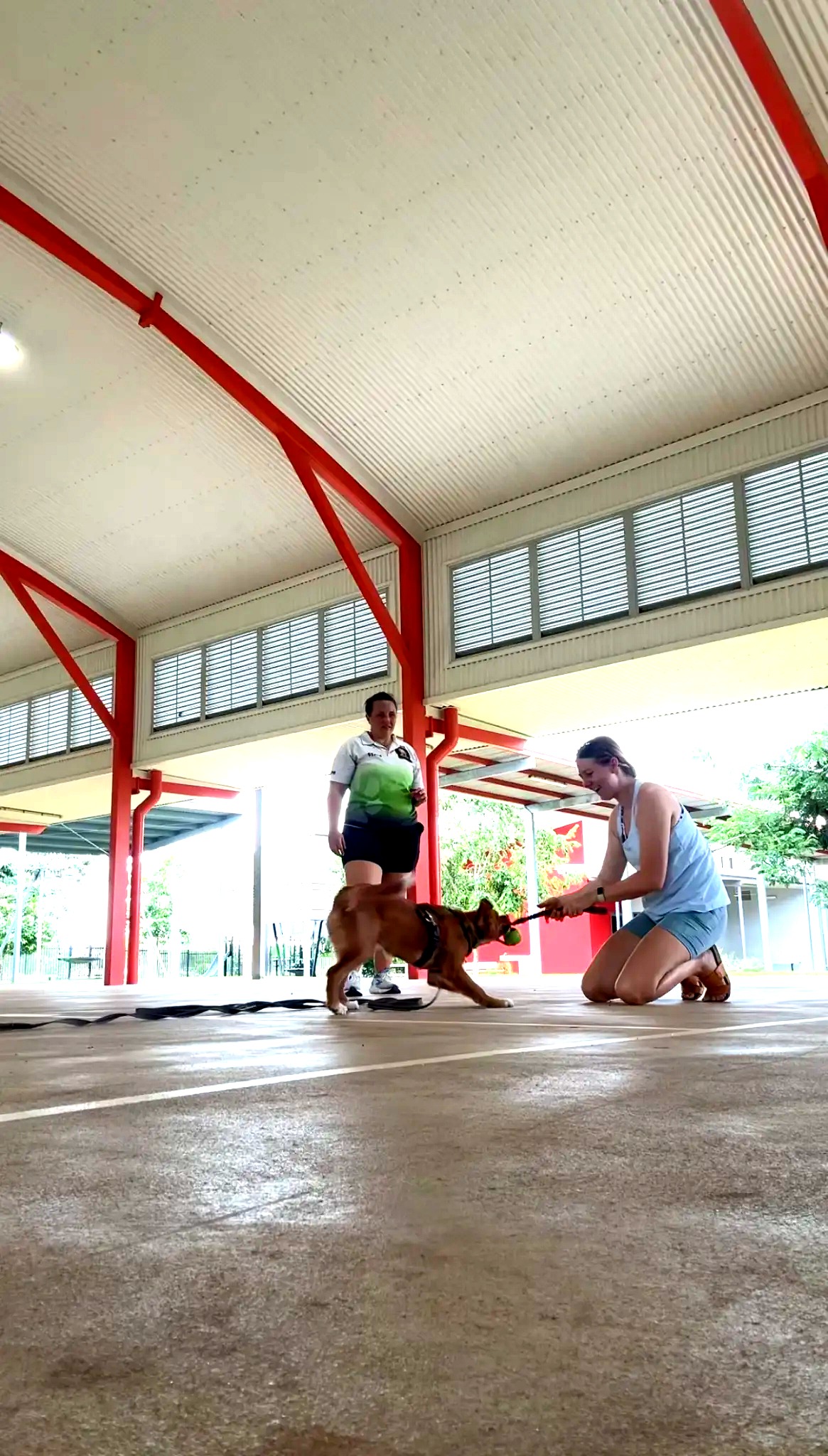 Kristy coaching a client and dog at Zuccoli Primary School